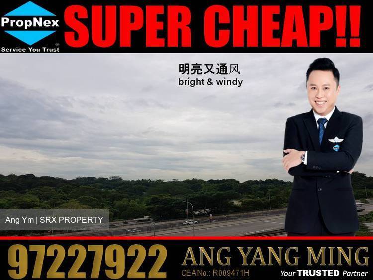 Blk 480 Segar Road (Bukit Panjang), HDB 4 Rooms #177012202